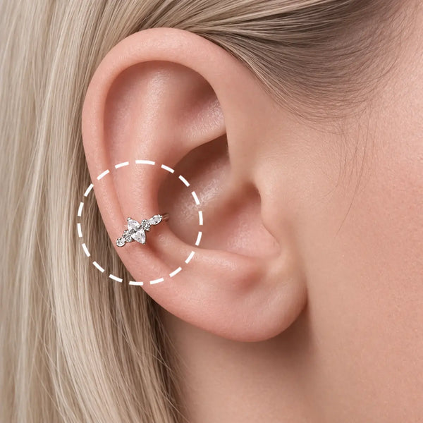 CONCH
