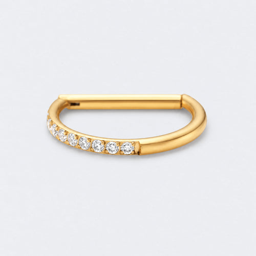 D Shape Half Side CZ Paved Hinged Segment Clicker Ring in Gold - Titanium