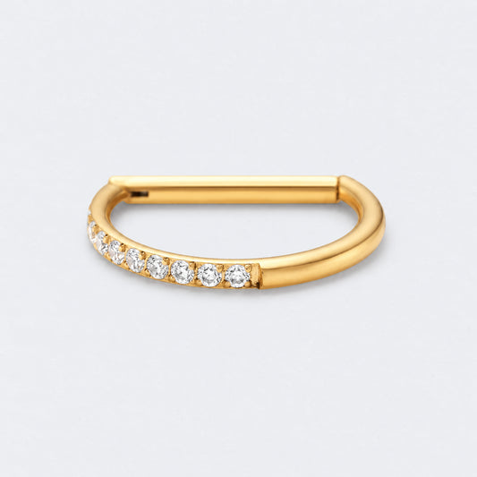 D Shape Half Side CZ Paved Hinged Segment Clicker Ring in Gold - Titanium