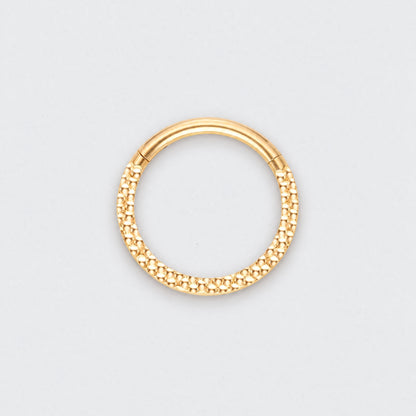 Front Face Cut Hinged Segment Ring in Gold - Titanium