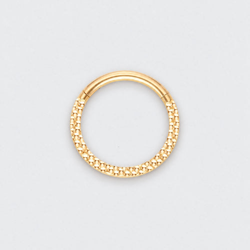 Front Face Cut Hinged Segment Ring in Gold - Titanium