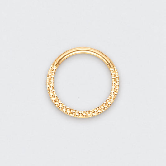 Front Face Cut Hinged Segment Ring in Gold - Titanium