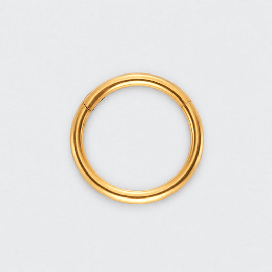 Segment Clicker Ring in Gold - Titanium