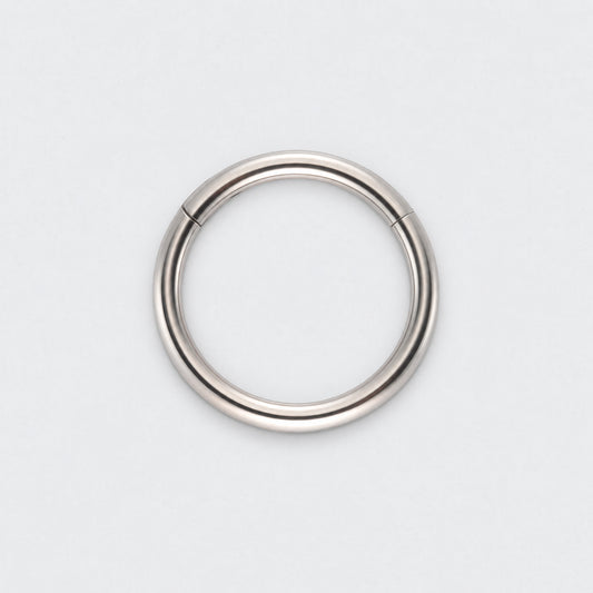 Hinged Segment Clicker Ring in Silver - Titanium