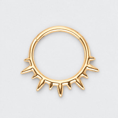 Spike Variant Segment Hoop Ring in Gold - Titanium