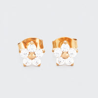 Flower CZ Earrings in Gold - Titanium