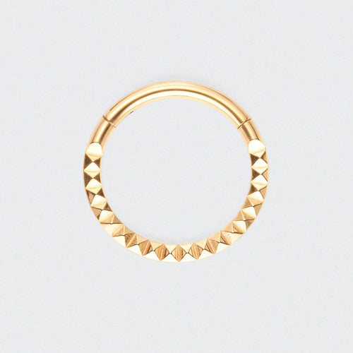 Square Cut Face High Polished Hinged Segment Ring in Gold - Titanium