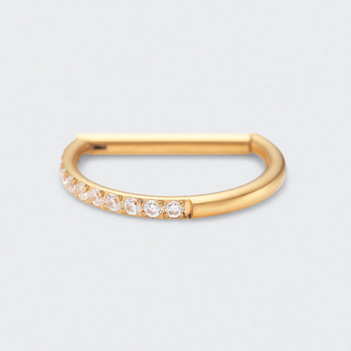 D Shape Half Side CZ Paved Hinged Segment Clicker Ring in Gold - Titanium