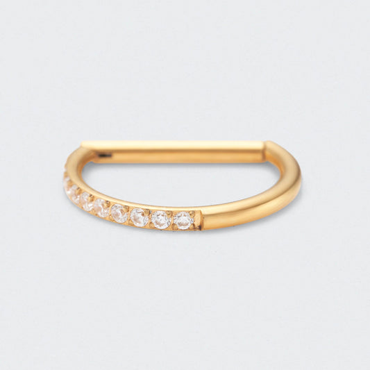D Shape Half Side CZ Paved Hinged Segment Clicker Ring in Gold - Titanium