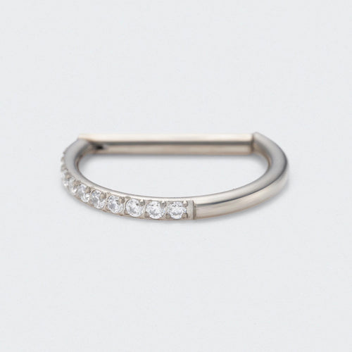 D Shape Half Side CZ Paved Hinged Segment Clicker Ring in Silver - Titanium
