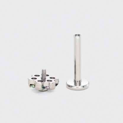 Bezel Flower Rainbow CZ Labret in Silver - Titanium