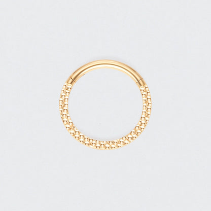 Front Face Cut Hinged Segment Ring in Gold - Titanium