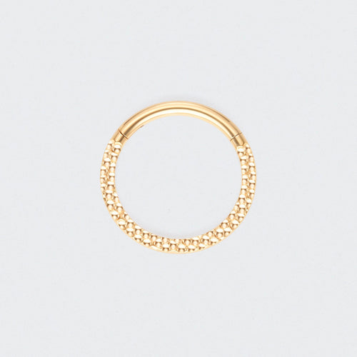 Front Face Cut Hinged Segment Ring in Gold - Titanium