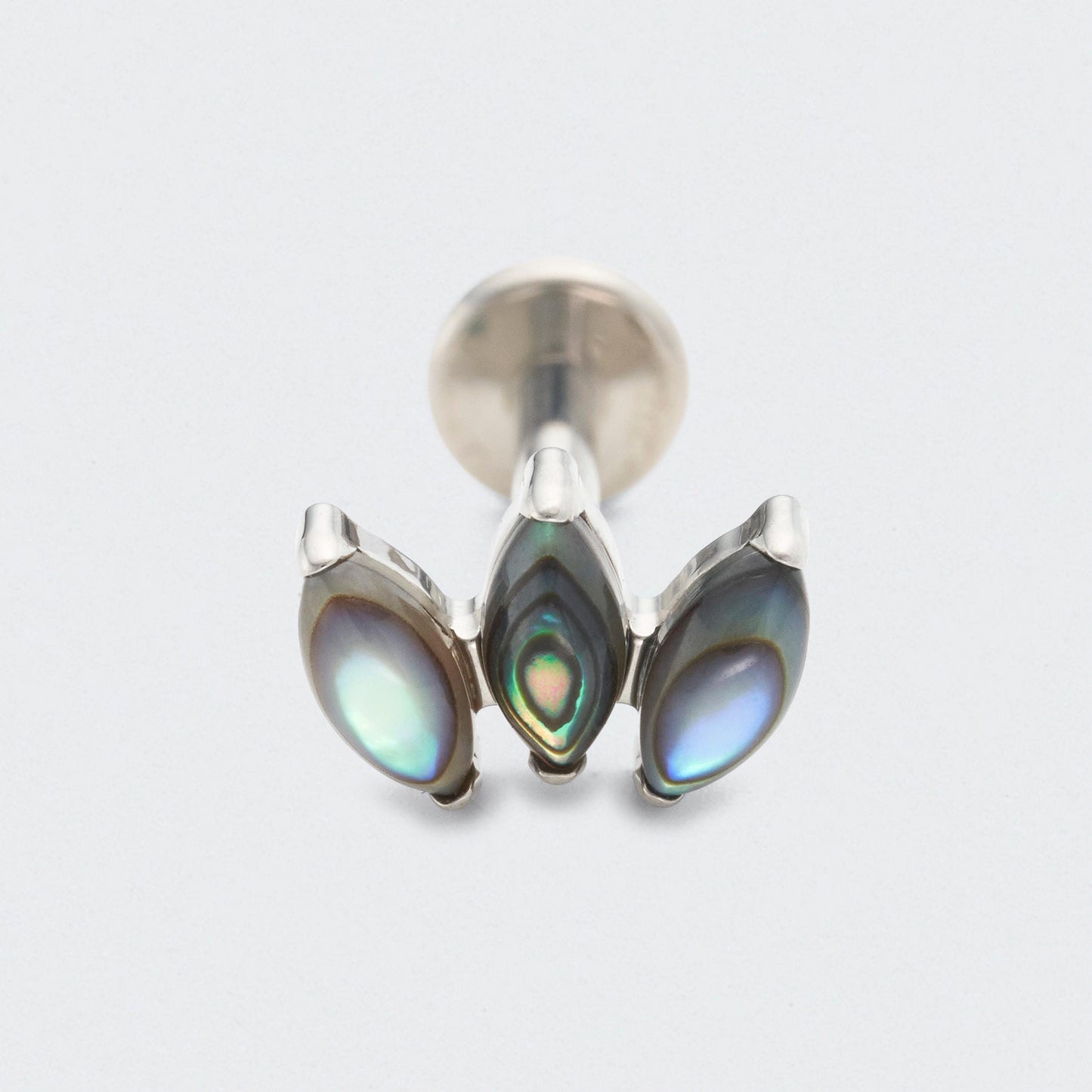 Triple Marquise Abalone Shell Labret in Silver - Titanium