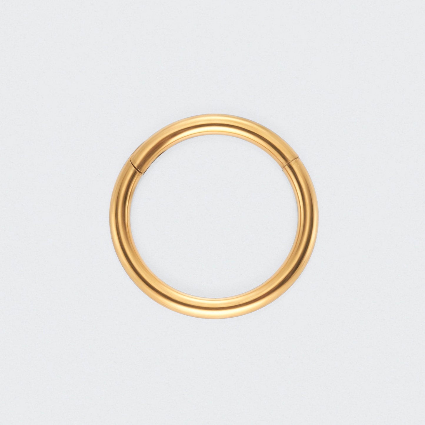 Segment Clicker Ring in Gold - Titanium