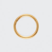 Segment Clicker Ring in Gold - Titanium