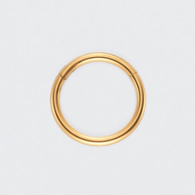 Segment Clicker Ring in Gold - Titanium