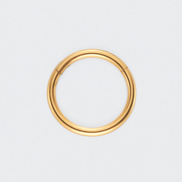 Segment Clicker Ring in Gold - Titanium