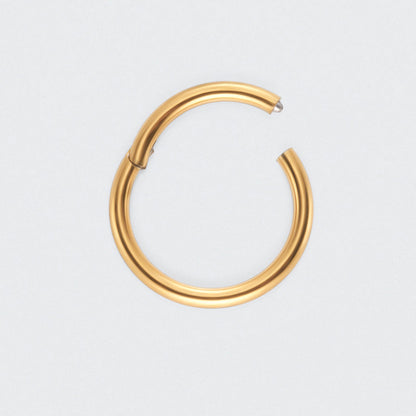 Segment Clicker Ring in Gold - Titanium