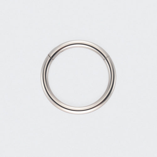Hinged Segment Clicker Ring in Silver - Titanium