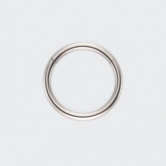 Hinged Segment Clicker Ring in Silver - Titanium