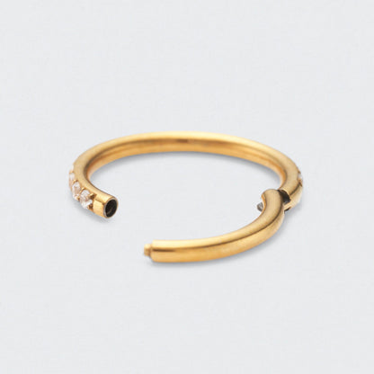Side Facing CZ Hinged Segment Clicker Ring in Gold - Titanium