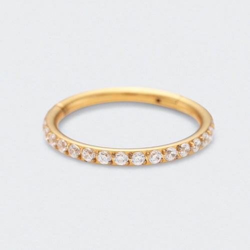 Side Facing CZ Hinged Segment Clicker Ring in Gold - Titanium