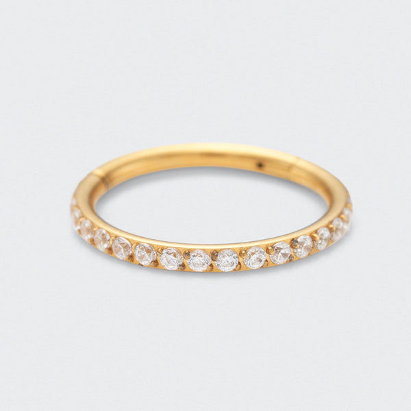 Side Facing CZ Hinged Segment Clicker Ring in Gold - Titanium