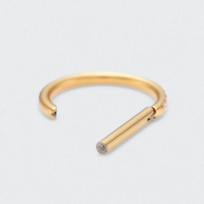 D Shape Half Side CZ Paved Hinged Segment Clicker Ring in Gold - Titanium