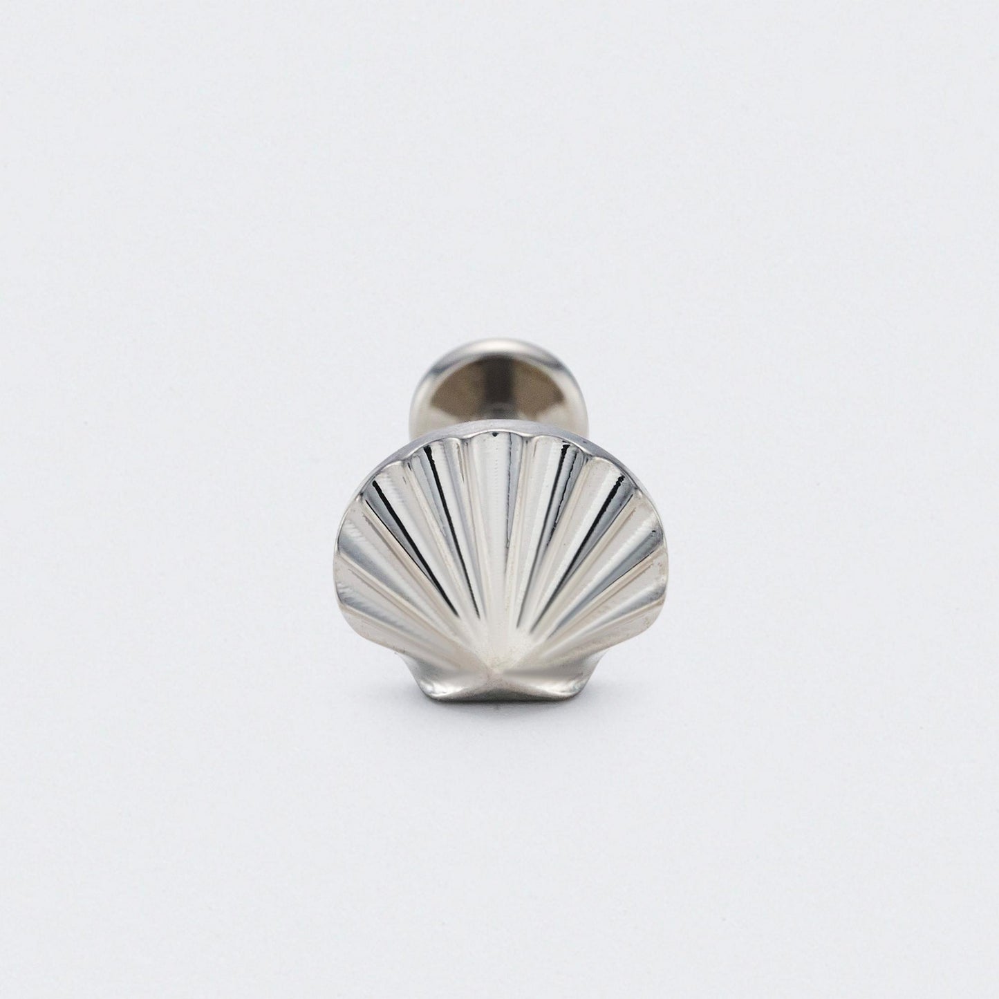 Shell Labret in Silver - Titanium