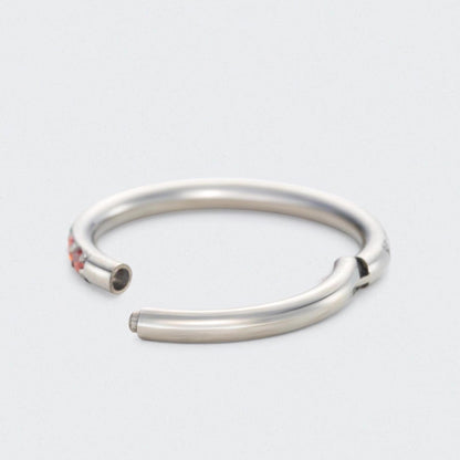 Rainbow CZ Side Facing Paved Hinged Segment Hoop Ring in Silver - Titanium